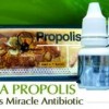 Propolis