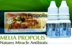 Propolis