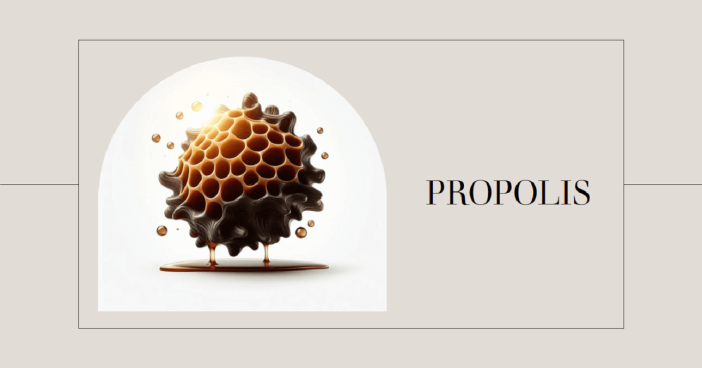 Pengertian Propolis