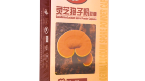 Jual Ganoderma Lucidum