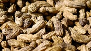 Manfaat kacang tanah