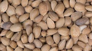 Manfaat kacang almond