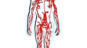 Membersihkan pembuluh darah secara alami