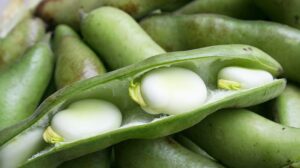 Makanan dan minuman yang cocok saat flu