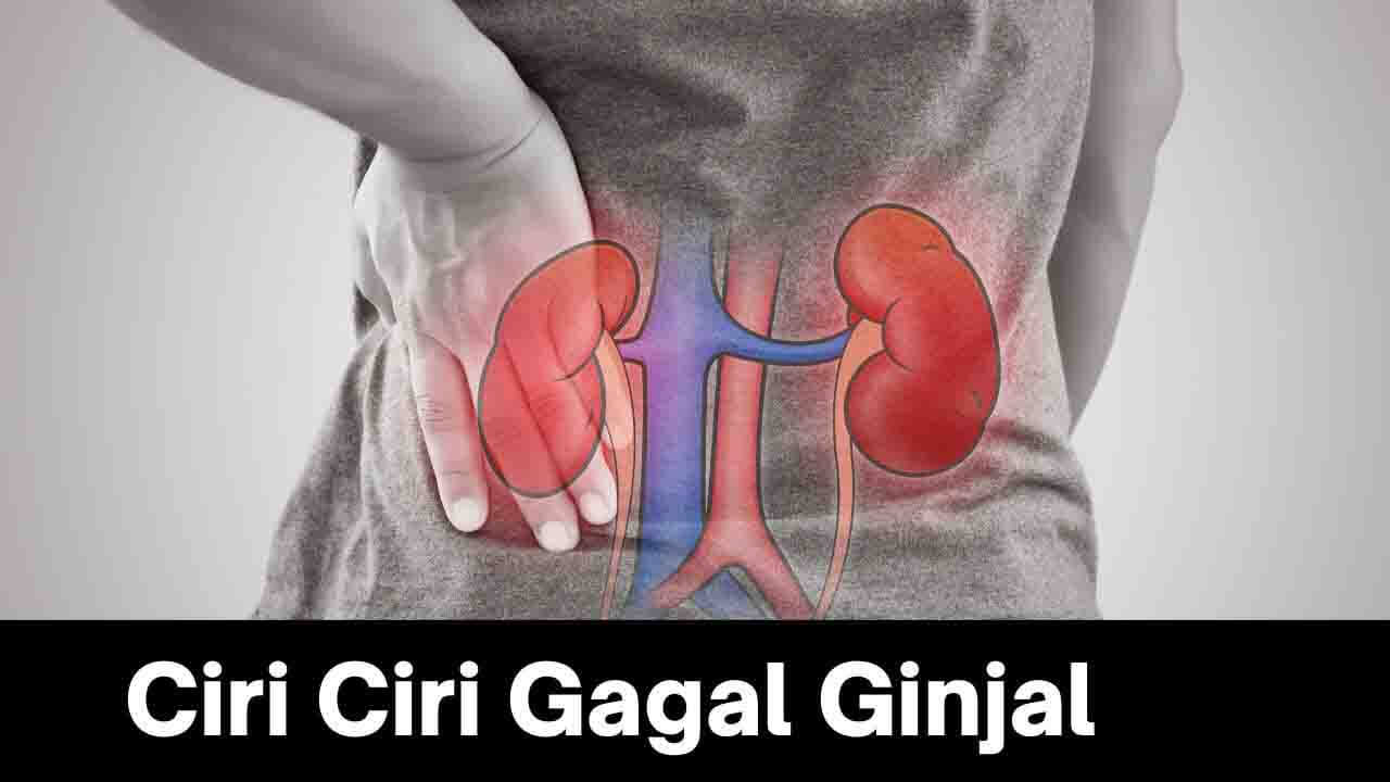 Ciri Ciri Gagal Ginjal: Apa yang Harus Anda Waspadai?