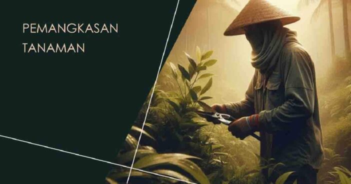 Pemangkasan Tanaman