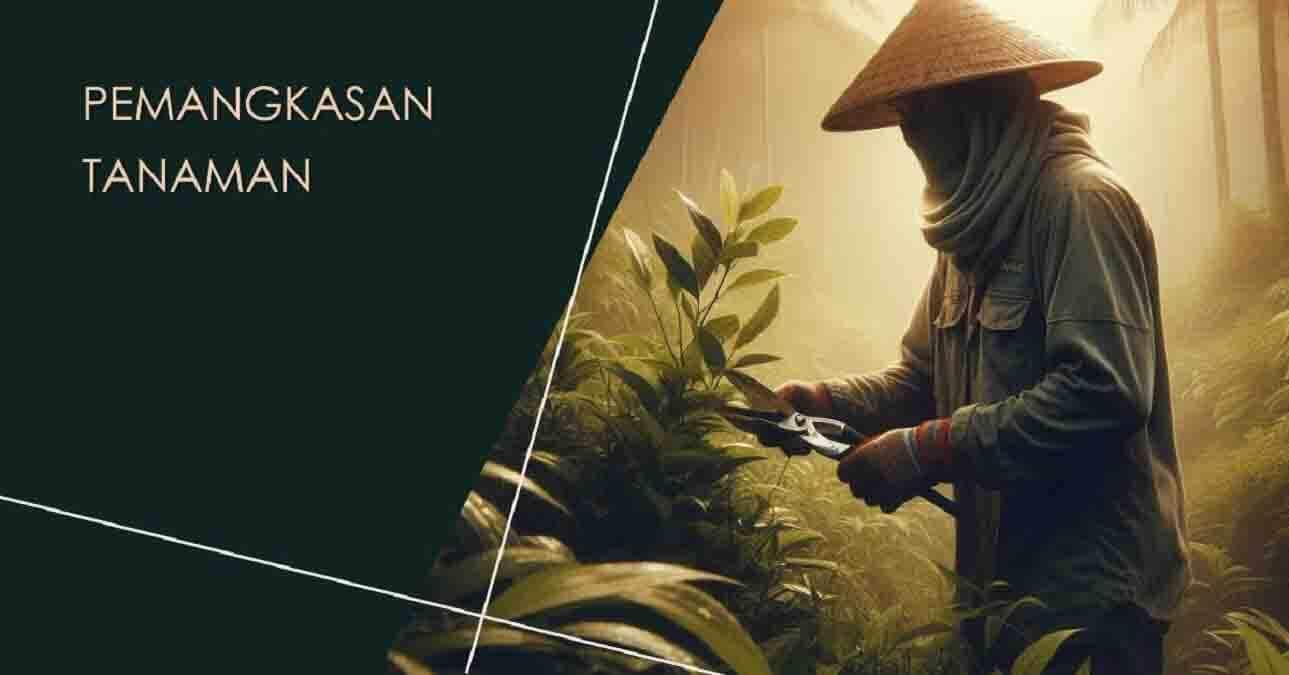 Pemangkasan Tanaman: Rahasia Taman Subur yang Sering Terabaikan