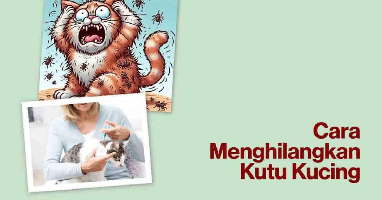 Cara Menghilangkan Kutu Kucing: Solusi Ampuh & Mudah