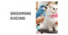 Grooming Kucing