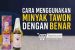 Cara Menggunakan Minyak Tawon dengan Benar: Rahasia Manfaat Maksimal Tanpa Efek Samping! 4 Cara Menggunakan Minyak Tawon dengan Benar