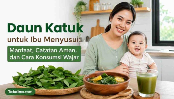 Daun Katuk untuk Ibu Menyusui