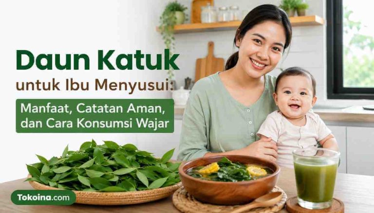 Daun Katuk untuk Ibu Menyusui: Manfaat, Catatan Aman, dan Cara Konsumsi Wajar