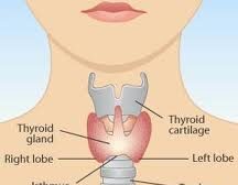gangguan-tiroid-menyebabkan-iq-rendah
